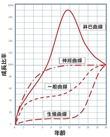 曲線 成長